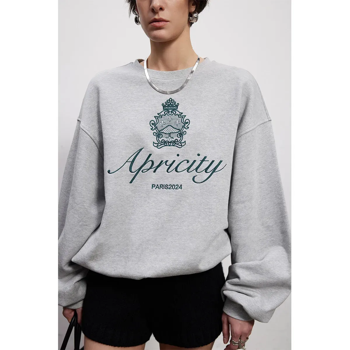 Flytonn-Retro sports style outfit streetwear 90s fashion American Retro Style Embroidered Crewneck Pullover 2024 Autumn New Cotton Thick Warm Sweatshirts Women Street Fashion Jumpers