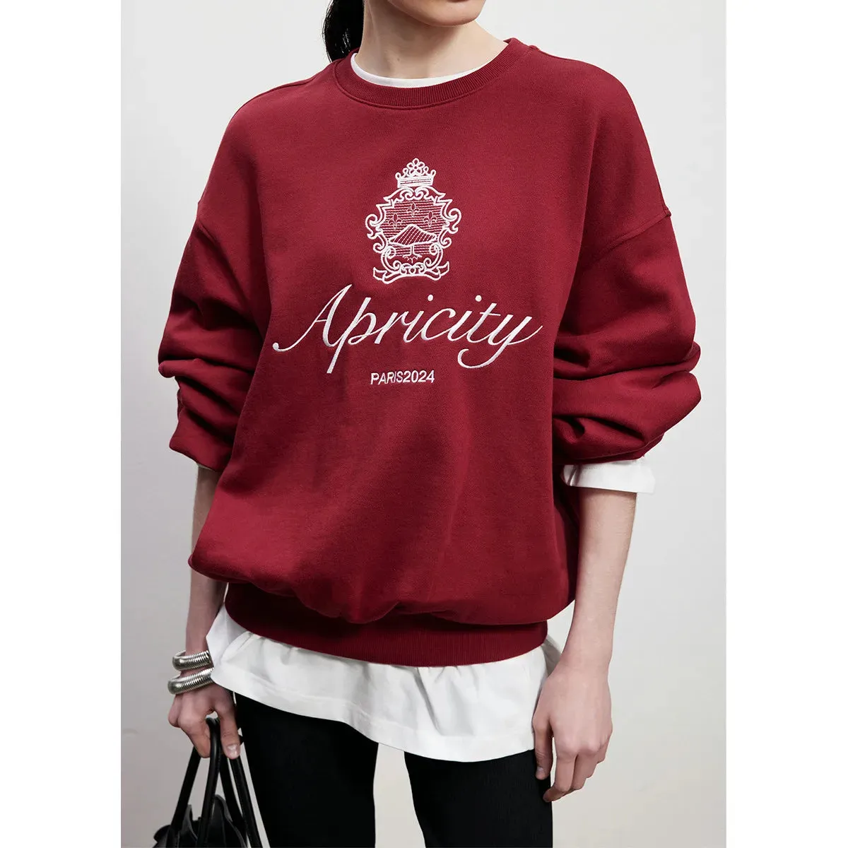 Flytonn-Retro sports style outfit streetwear 90s fashion American Retro Style Embroidered Crewneck Pullover 2024 Autumn New Cotton Thick Warm Sweatshirts Women Street Fashion Jumpers