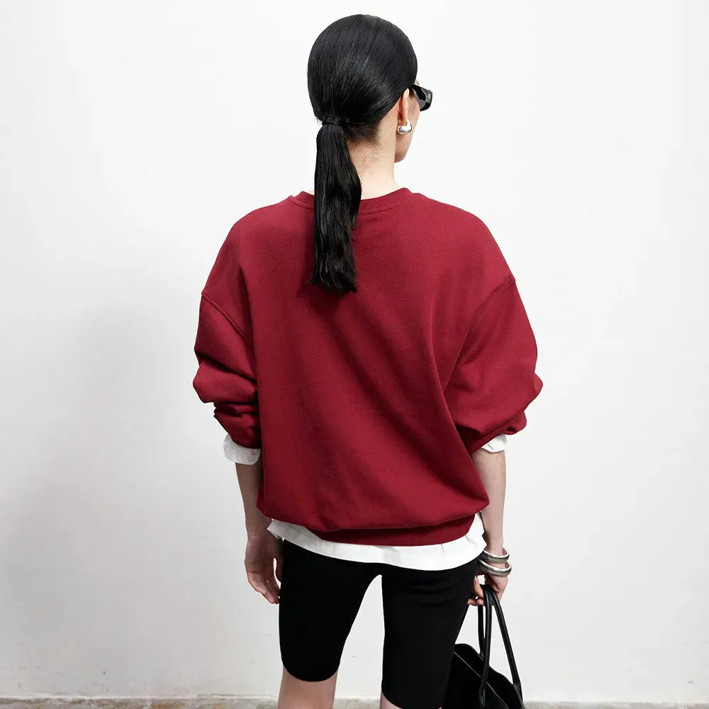 Flytonn-Retro sports style outfit streetwear 90s fashion American Retro Style Embroidered Crewneck Pullover 2024 Autumn New Cotton Thick Warm Sweatshirts Women Street Fashion Jumpers