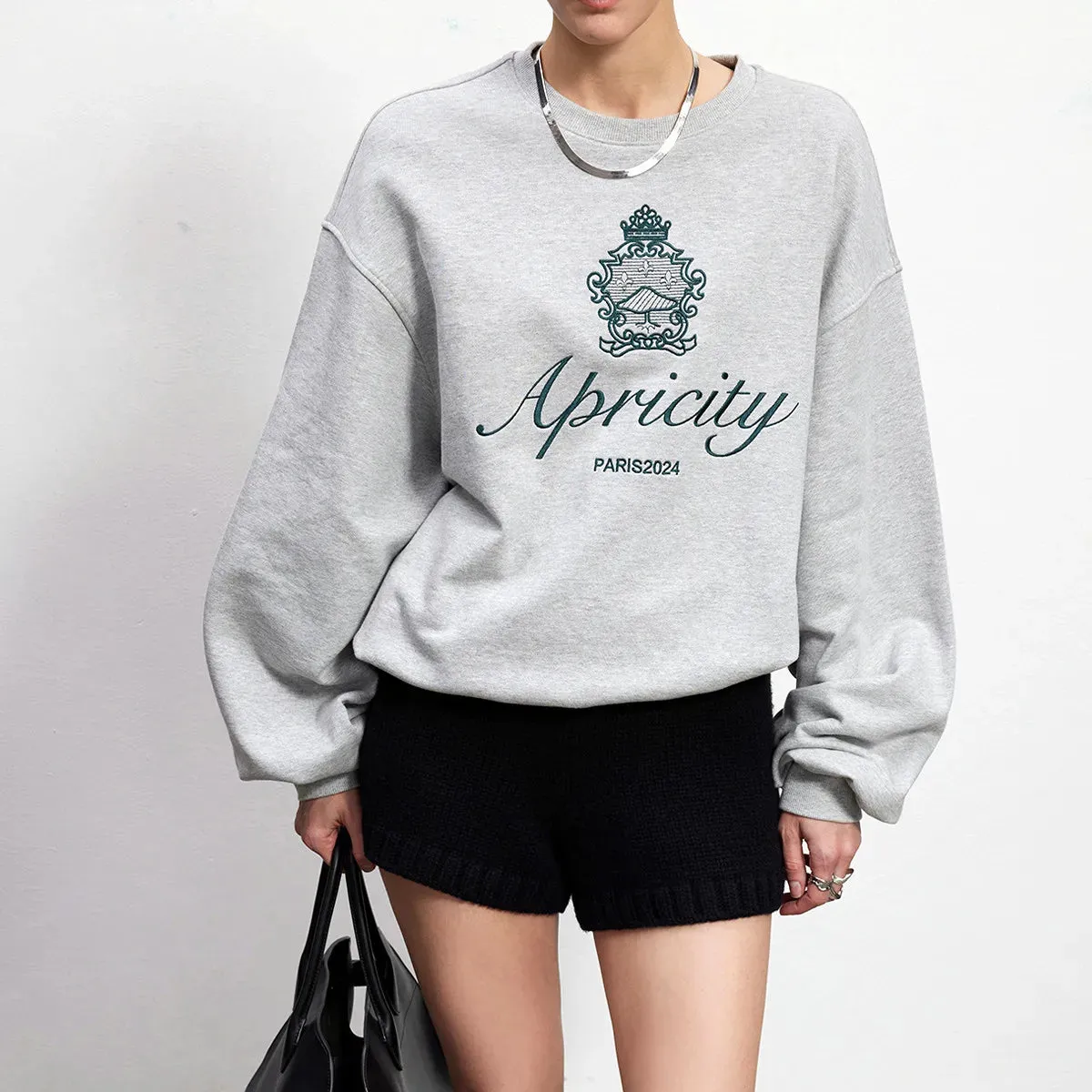 Flytonn-Retro sports style outfit streetwear 90s fashion American Retro Style Embroidered Crewneck Pullover 2024 Autumn New Cotton Thick Warm Sweatshirts Women Street Fashion Jumpers